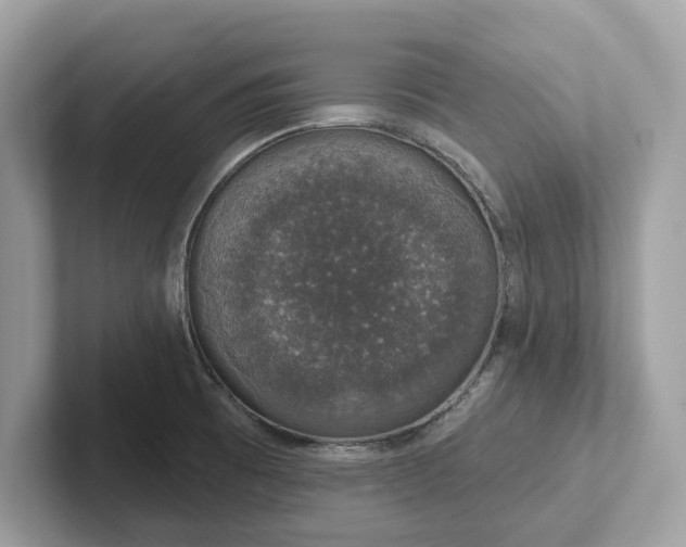 X0000101401473200807211023