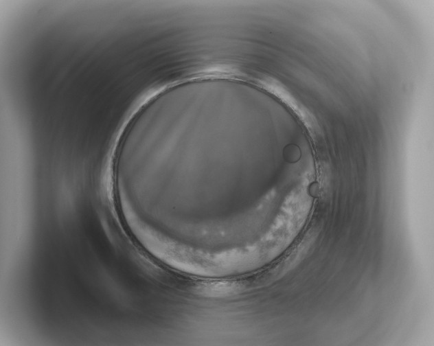 X0000101401474200807211023