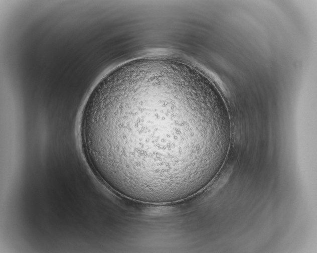 X0000101401475200807211023