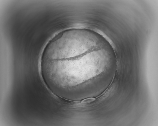 X0000101401477200807211023