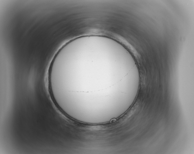 X0000101401479200807211023