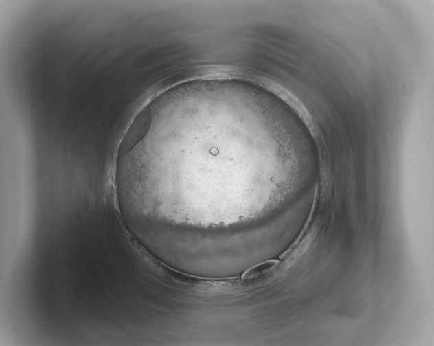 X0000101401481200807211023