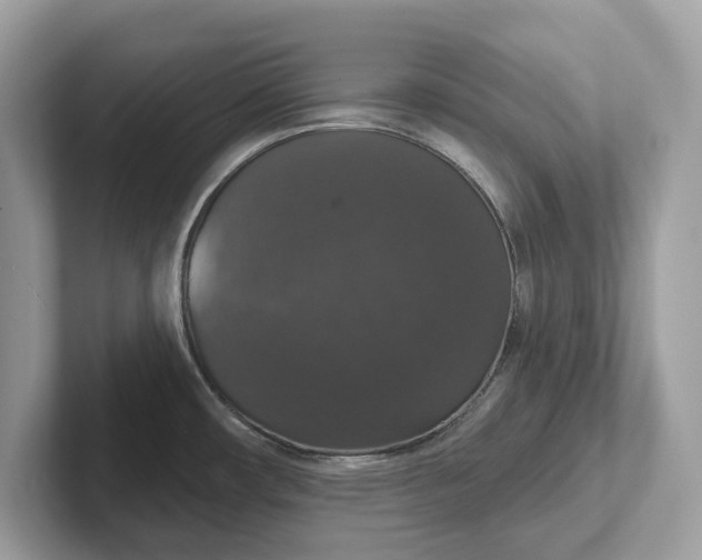 X0000101401482200807211023