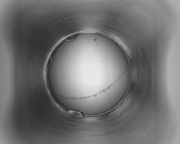 X0000101401484200807211023