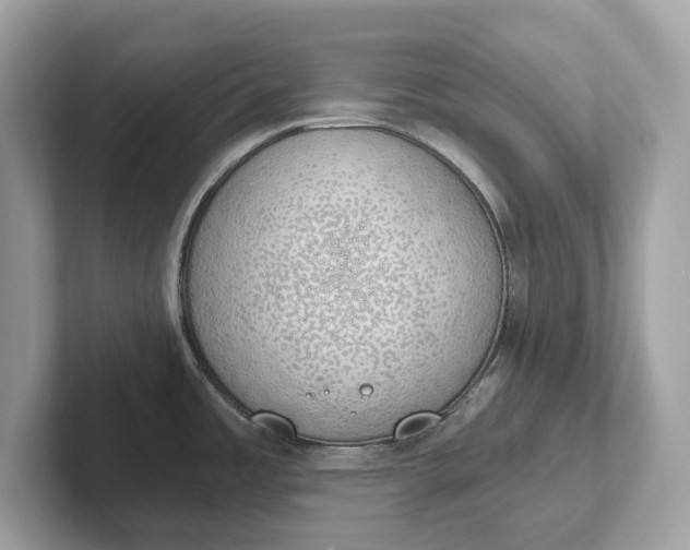 X0000101401485200807211023