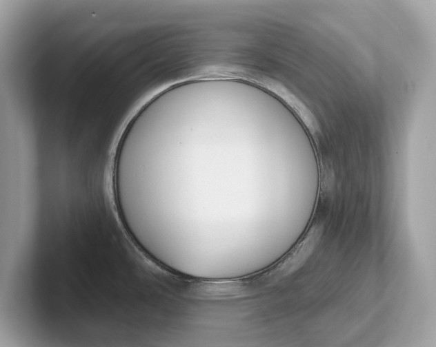 X0000101401486200807211023