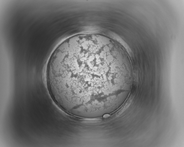 X0000101401487200807211023