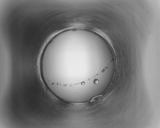 X0000101401488200807211023