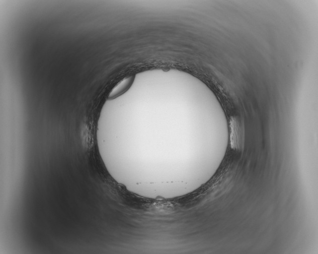 X0000101401491200807211022