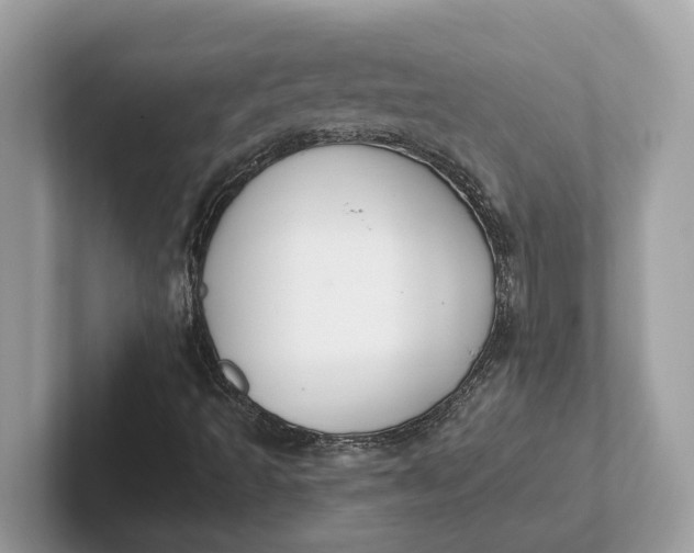 X0000101401493200807211023