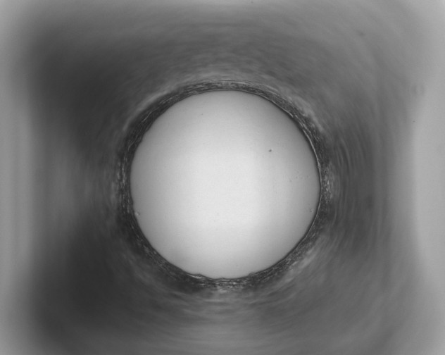 X0000101401494200807211023