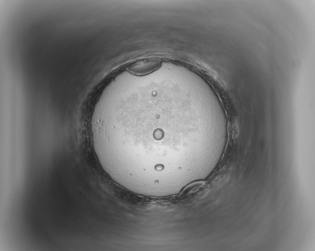 X0000101401496200807211023