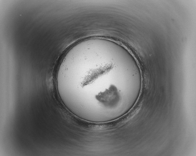 X0000101401497200807211023