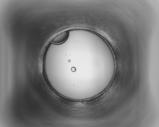 X0000101401504200807211023