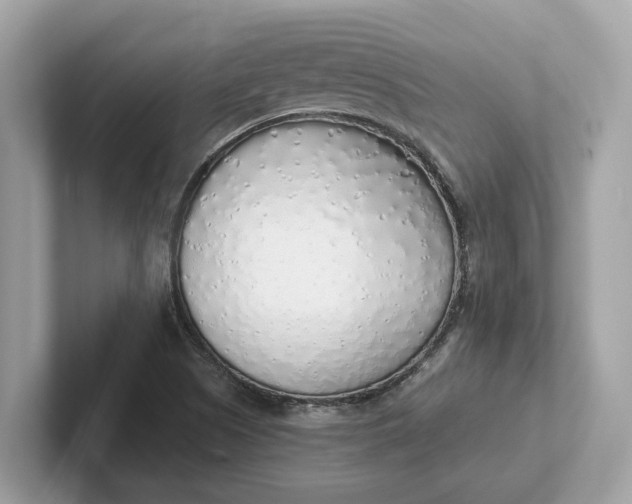 X0000101401505200807211023