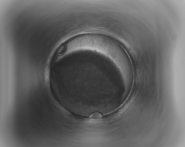 X0000101401506200807211023