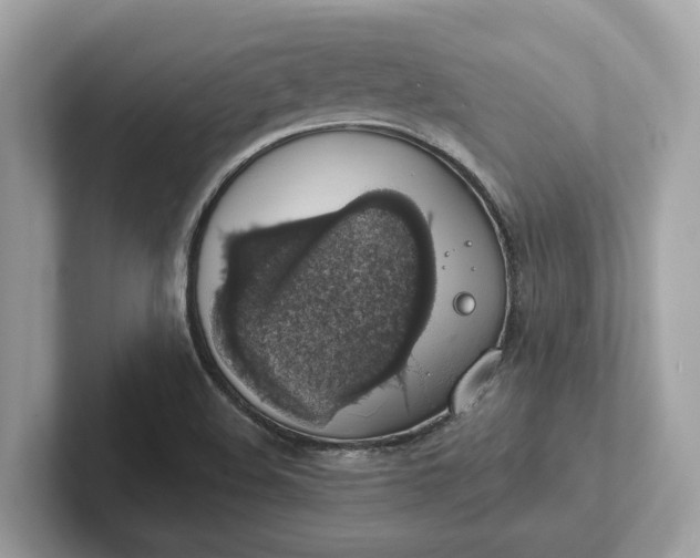 X0000101401508200807211023