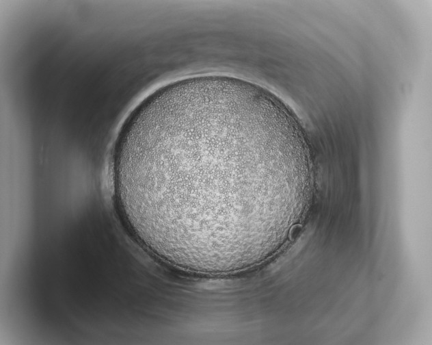 X0000101401510200807211023