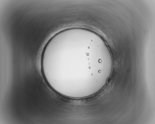 X0000101401512200807211023