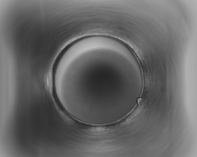 X0000101401515200807211023