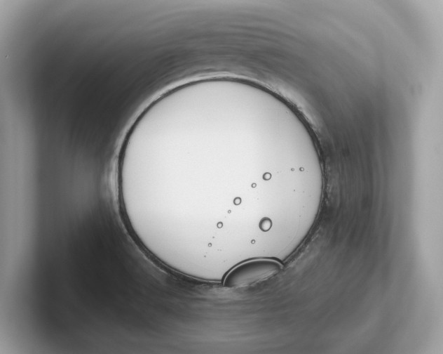 X0000101401516200807211023