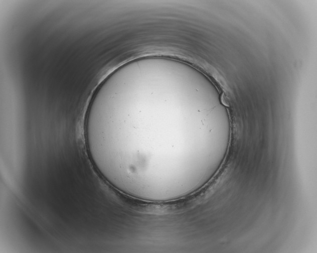 X0000101401521200807211023