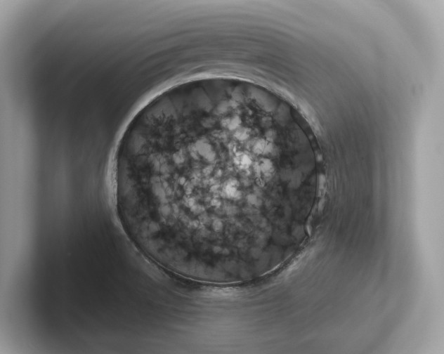 X0000101401522200807211023