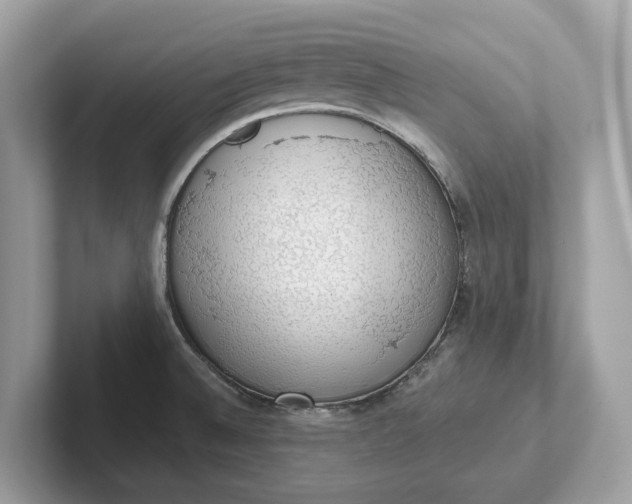 X0000101401524200807211023