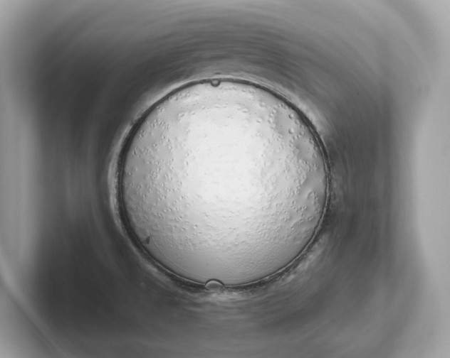 X0000101401525200807211023