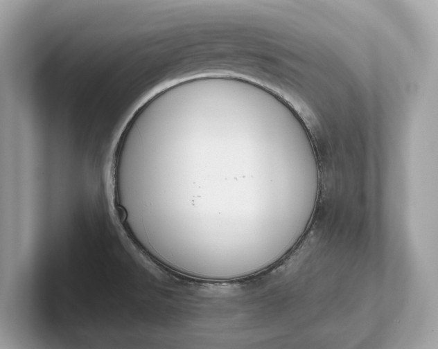 X0000101401526200807211023