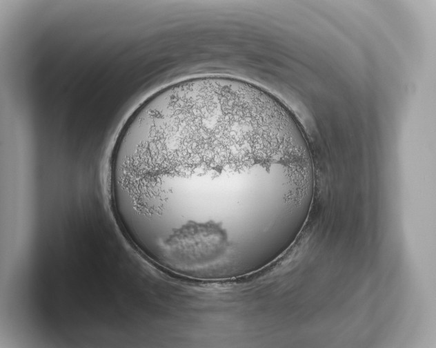 X0000101401527200807211023