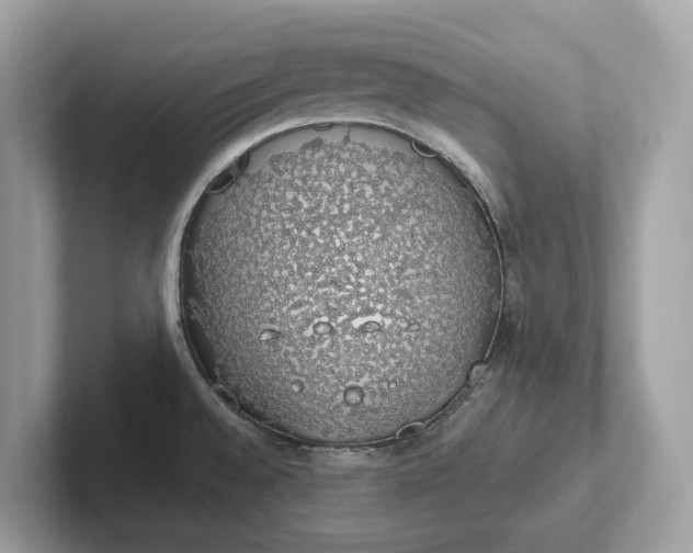 X0000101401528200807211023