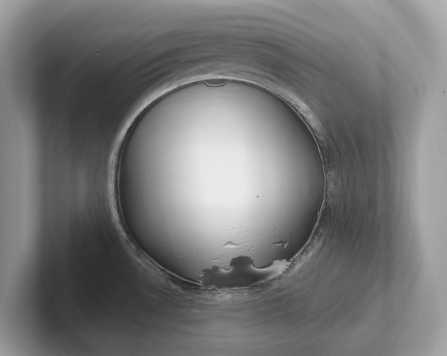 X0000101401530200807211023