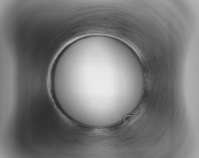 X0000101401531200807211023