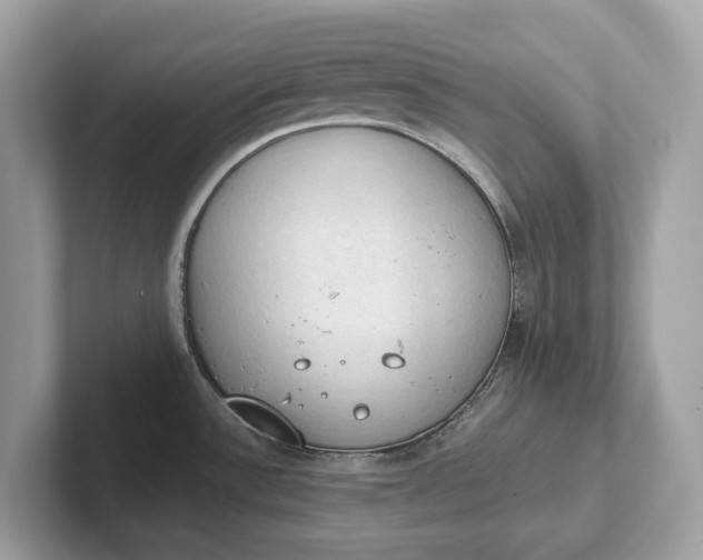 X0000101401532200807211023