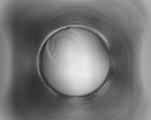 X0000101401533200807211023