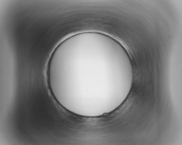 X0000101401534200807211023