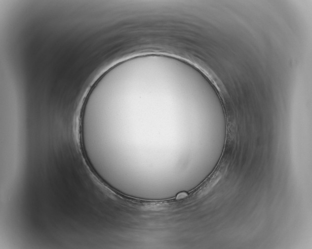 X0000101401535200807211023