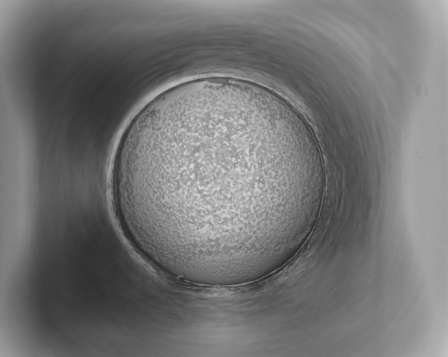 X0000101401536200807211023