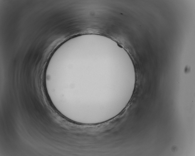 X0000101400001200807281013