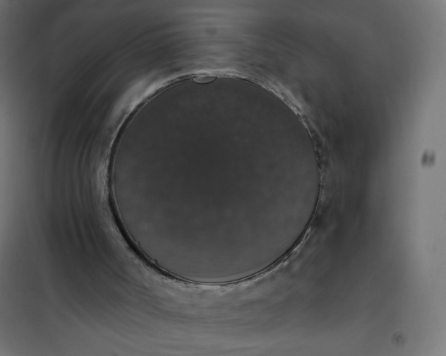 X0000101400002200807281013