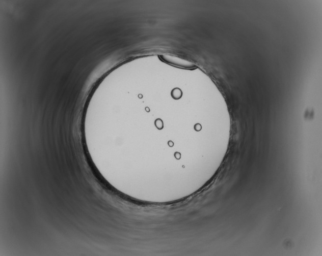 X0000101400004200807281013