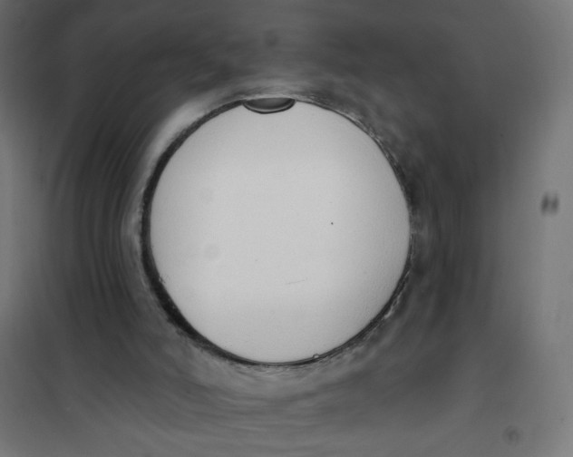 X0000101400006200807281013