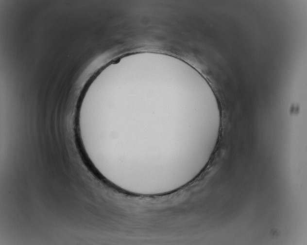 X0000101400007200807281013