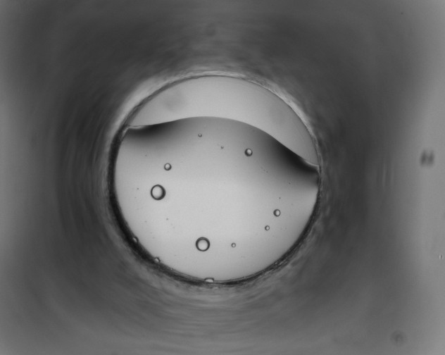 X0000101400008200807281013