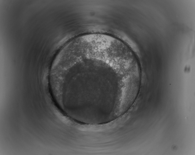 X0000101400009200807281013