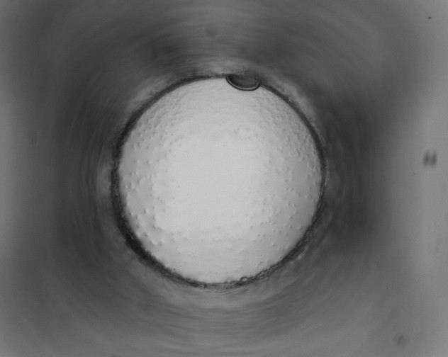 X0000101400010200807281013