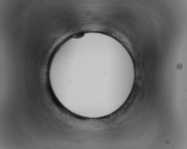 X0000101400012200807281013