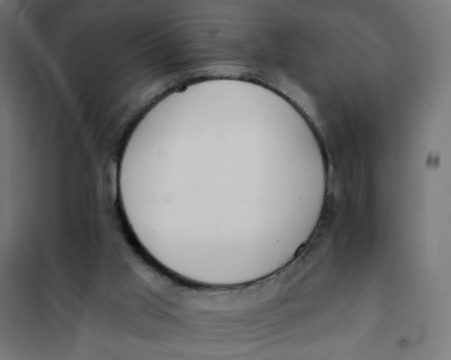 X0000101400013200807281013