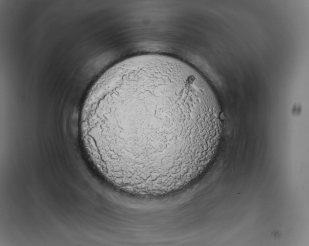 X0000101400014200807281013